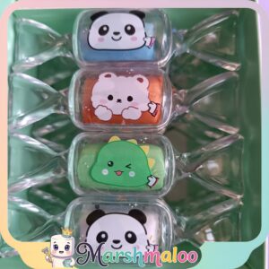 پاک کن خمیری شکلاتی شاین دار