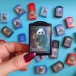 پاک کن فانتزی پاندا جنگجو - تصویر 5