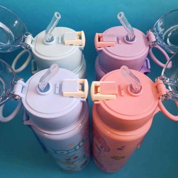 قمقمه رنگی کرومی و دوستان 1000 سی سی - تصویر 6